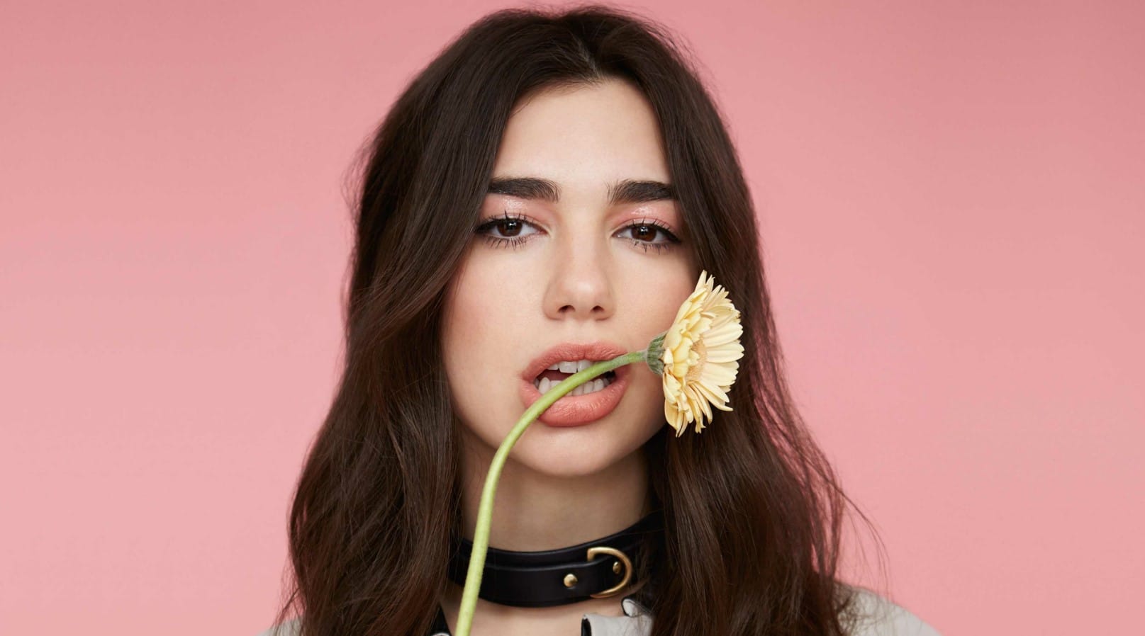 Dua Lipa Heardle